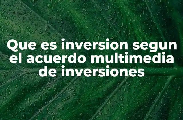 Que es Inversion Segun el Acuerdo Multimedia de Inversiones