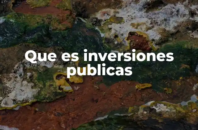 Que es Inversiones Publicas 2 El rol de las inversiones en el desarrollo nacional