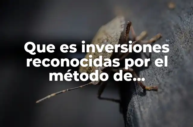 Que es Inversiones Reconocidas por el Método de Participación