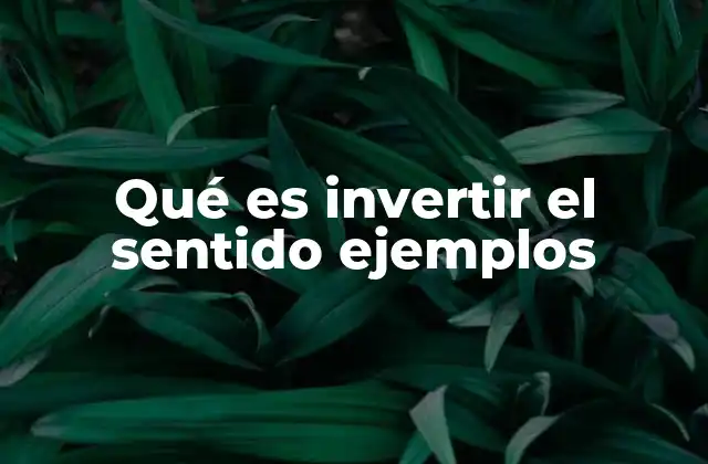 Qué es Invertir el Sentido Ejemplos