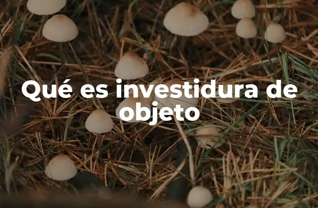 Qué es Investidura de Objeto 2 El simbolismo detrás de los objetos investidos