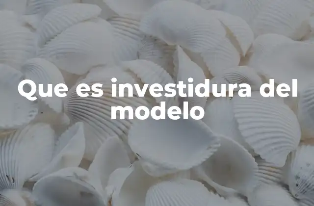 Que es Investidura Del Modelo