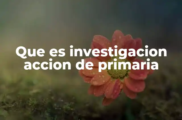 Que es Investigacion Accion de Primaria