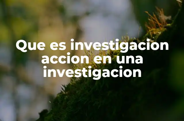 Que es Investigacion Accion en una Investigacion