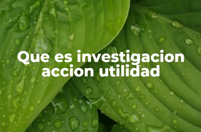 Que es Investigacion Accion Utilidad