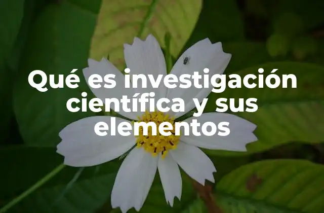 Qué es Investigación Científica y Sus Elementos
