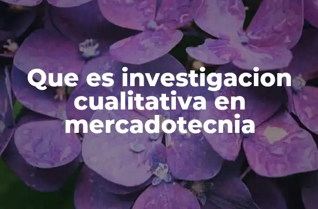 Que es Investigacion Cualitativa en Mercadotecnia