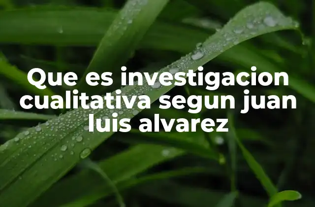 Que es Investigacion Cualitativa Segun Juan Luis Alvarez