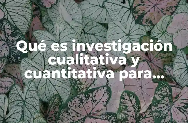 Qué es Investigación Cualitativa y Cuantitativa para Promocion