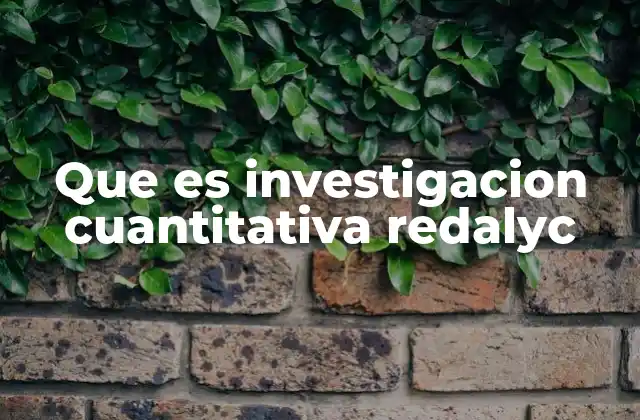 Que es Investigacion Cuantitativa Redalyc
