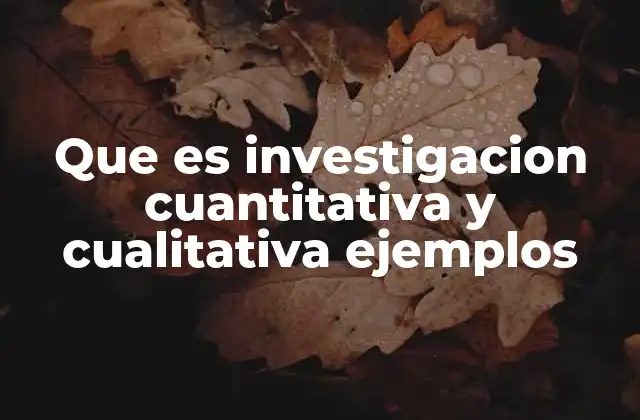 Que es Investigacion Cuantitativa y Cualitativa Ejemplos