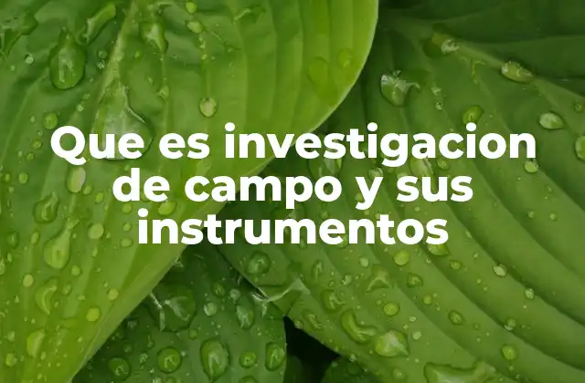 Que es Investigacion de Campo y Sus Instrumentos