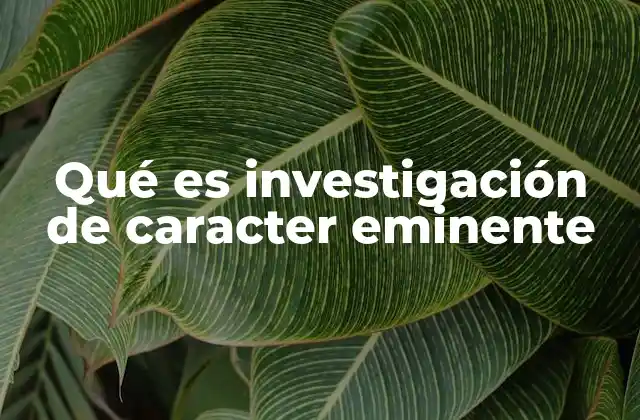 Qué es Investigación de Caracter Eminente 2 Características que definen una investigación de alto impacto