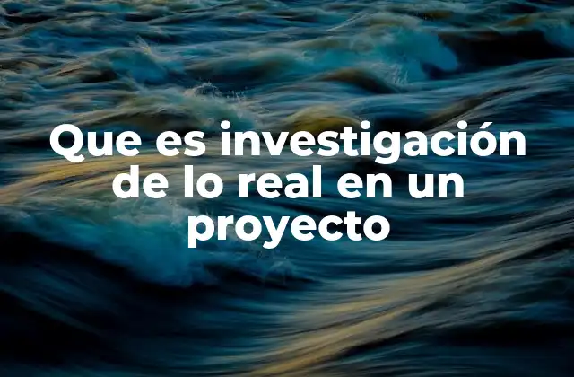 Que es Investigación de Lo Real en un Proyecto