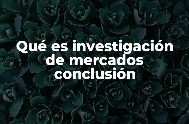 Qué es Investigación de Mercados Conclusión