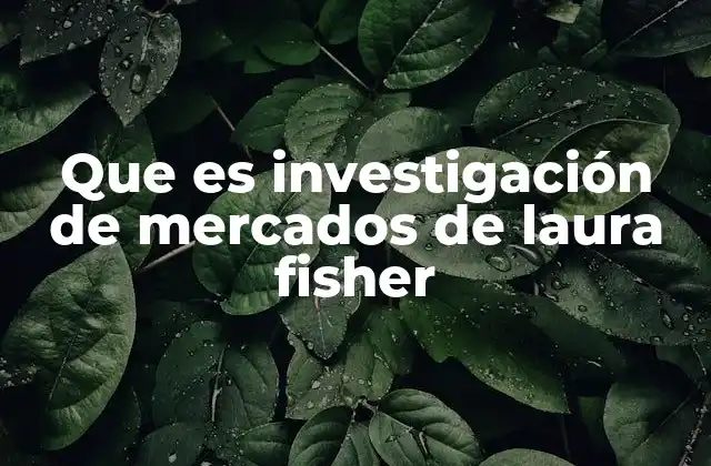 Que es Investigación de Mercados de Laura Fisher