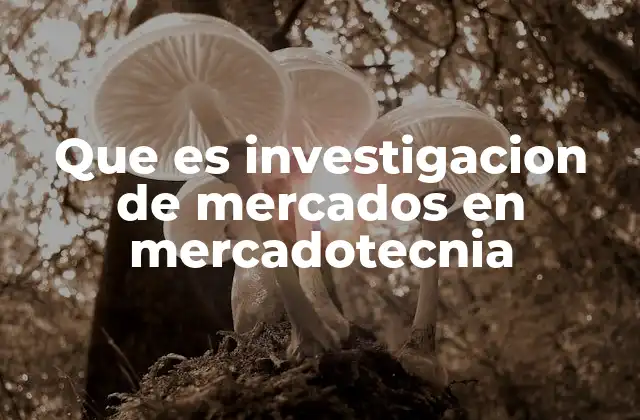 Que es Investigacion de Mercados en Mercadotecnia