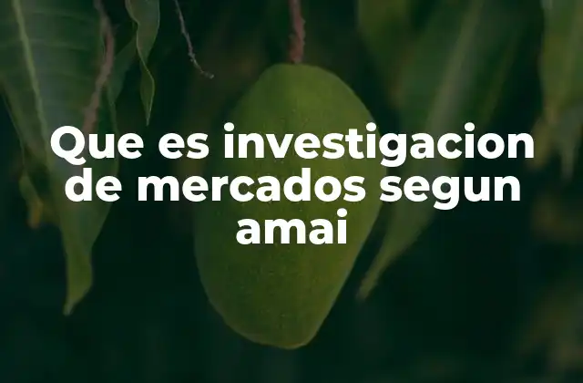 Que es Investigacion de Mercados Segun Amai