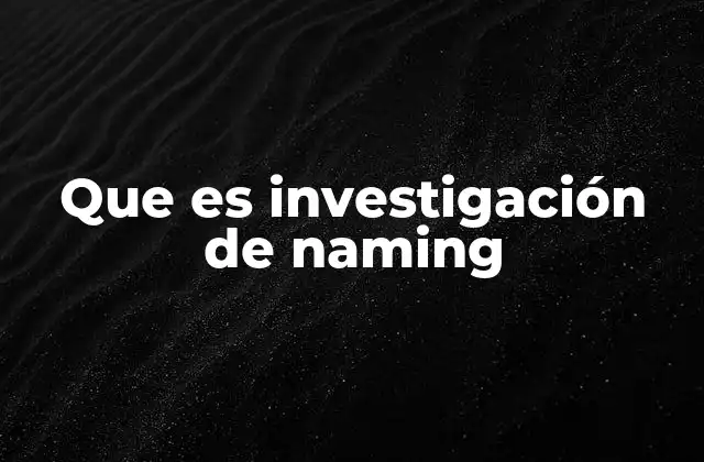 Que es Investigación de Naming
