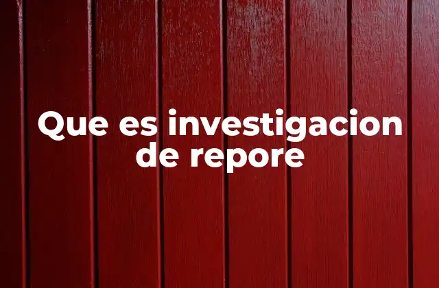 Que es Investigacion de Repore
