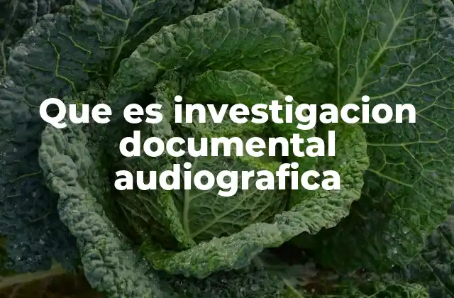 Que es Investigacion Documental Audiografica