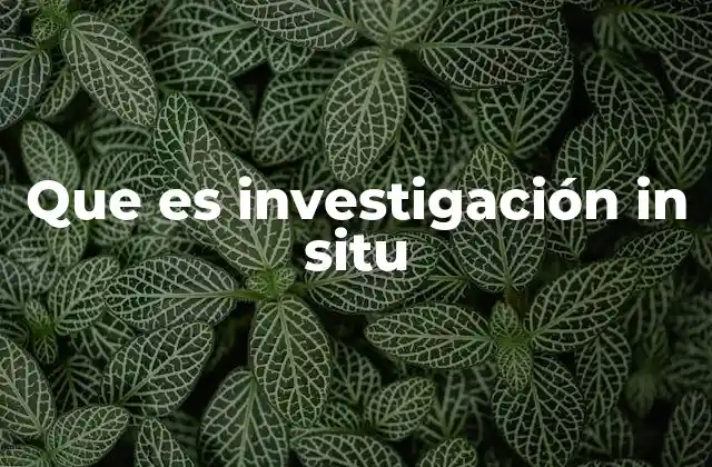 Que es Investigación In Situ