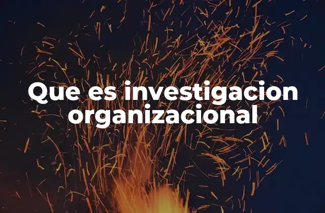 Que es Investigacion Organizacional