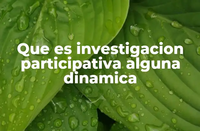 Que es Investigacion Participativa Alguna Dinamica