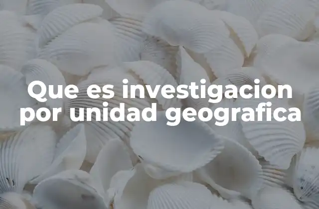 Que es Investigacion por Unidad Geografica