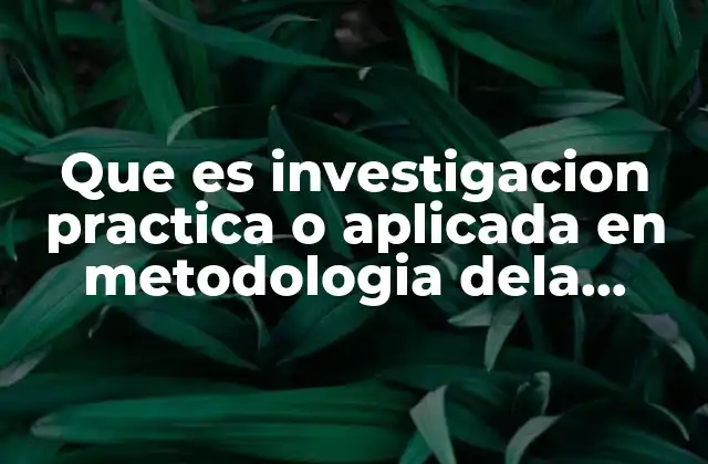 Que es Investigacion Practica o Aplicada en Metodologia Dela Investigacion