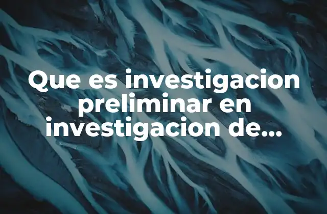 Que es Investigacion Preliminar en Investigacion de Mercados