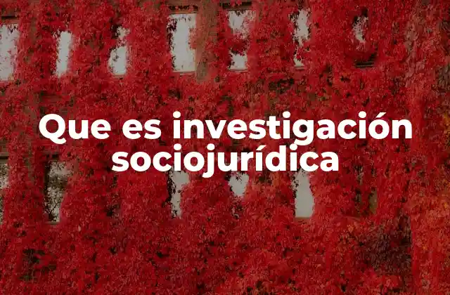 Que es Investigación Sociojurídica