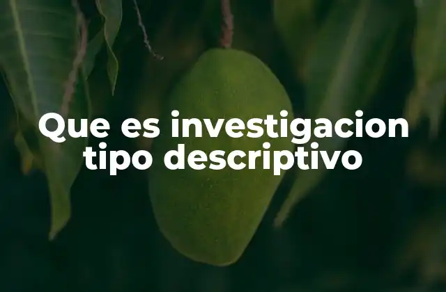 Que es Investigacion Tipo Descriptivo