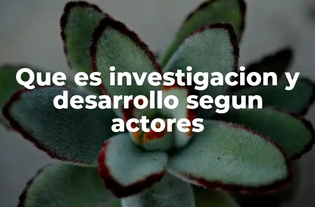 Que es Investigacion y Desarrollo Segun Actores 2 Diferencias en enfoque según el actor principal