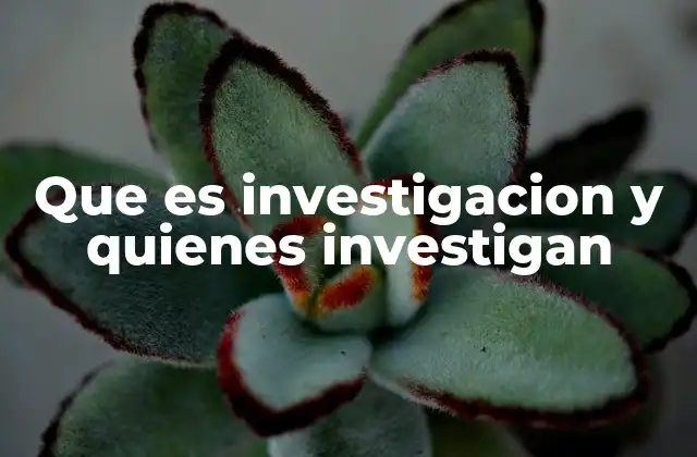 Que es Investigacion y Quienes Investigan