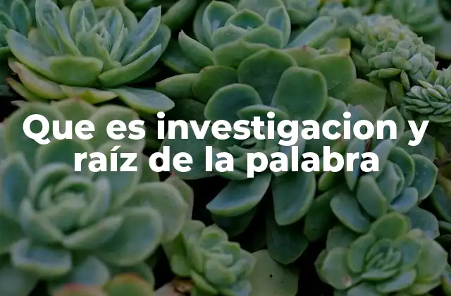 Que es Investigacion y Raíz de la Palabra