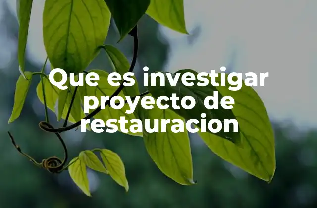 El rol de la investigación en la conservación cultural