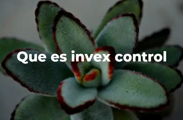Que es Invex Control