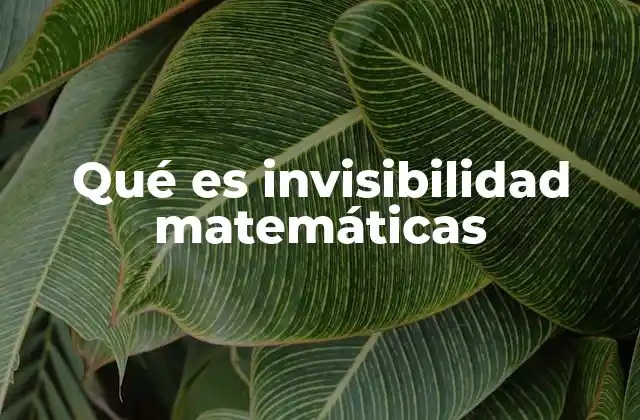 Qué es Invisibilidad Matemáticas