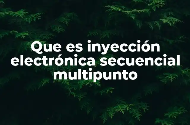Que es Inyección Electrónica Secuencial Multipunto