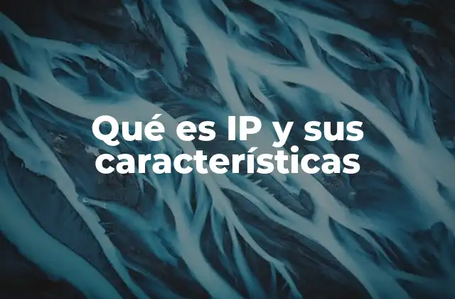 Qué es Ip y Sus Características