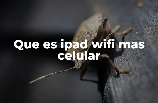 Que es Ipad Wifi mas Celular
