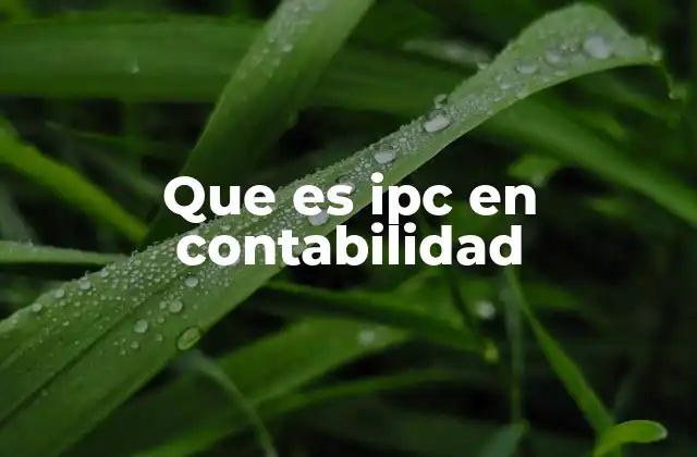 Que es Ipc en Contabilidad