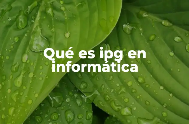 El rol de IPG en el manejo de activos intangibles