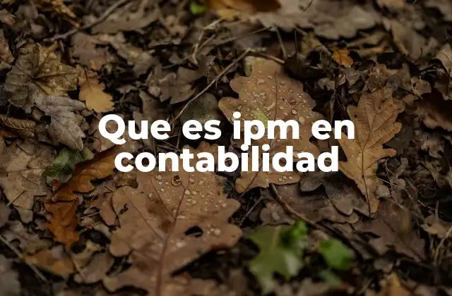 Que es Ipm en Contabilidad