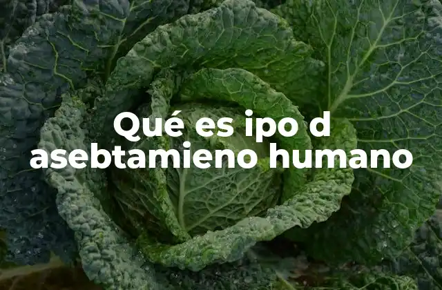 Qué es Ipo D Asebtamieno Humano
