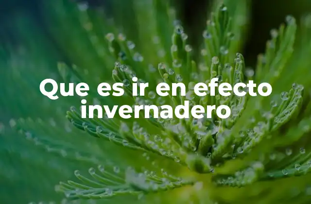El efecto invernadero y su relación con el clima global