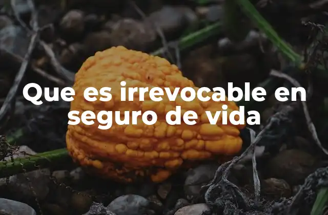 Que es Irrevocable en Seguro de Vida
