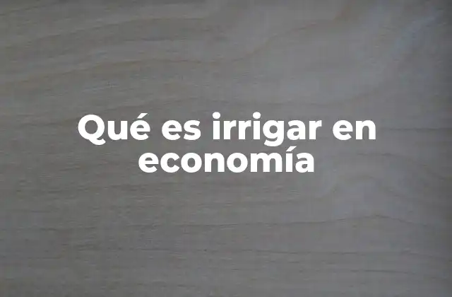 Qué es Irrigar en Economía