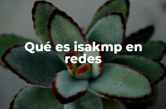 Qué es Isakmp en Redes